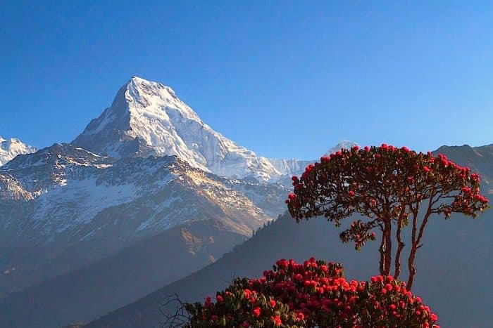 Machapuchare (Fishtail) silhouetted at dusk