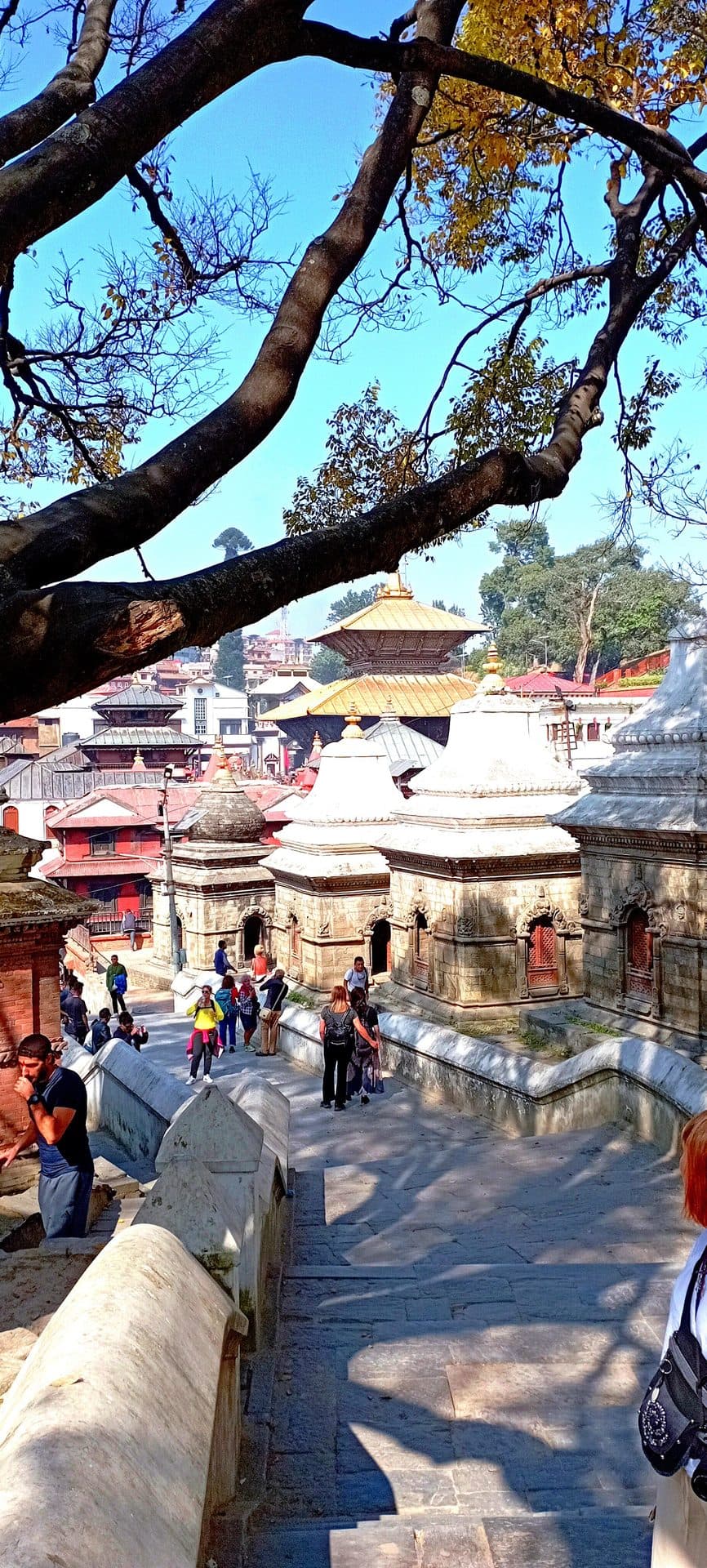 Pashupatinath Temple