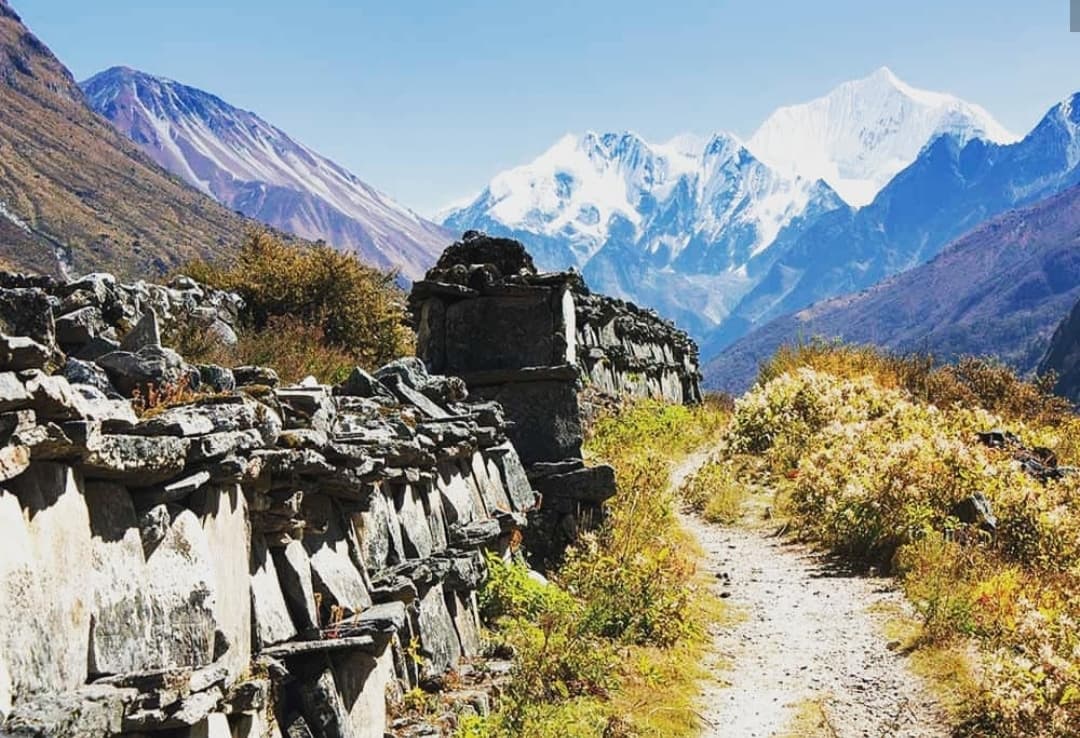 Kyanjin Gompa village in the Langtang valley