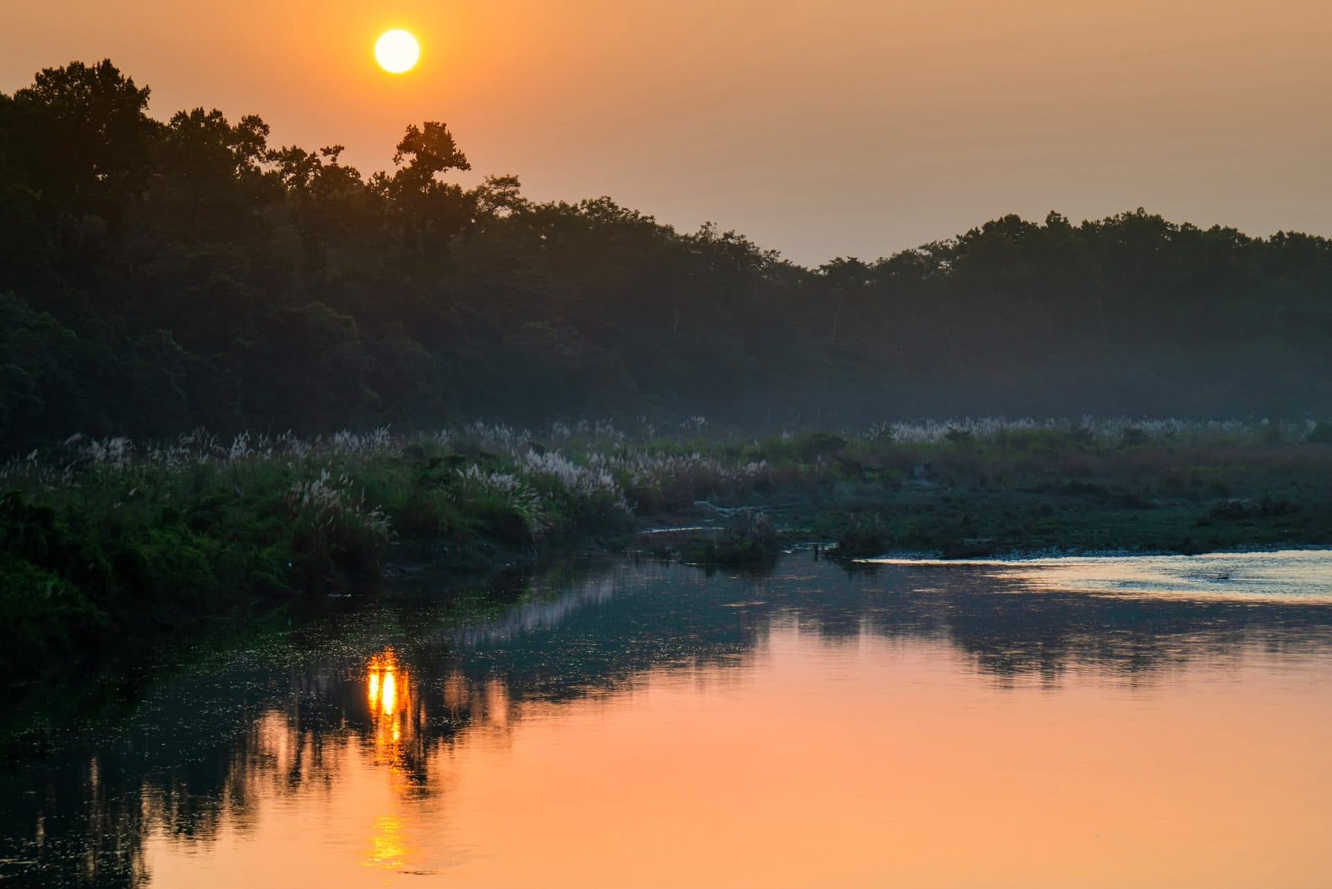 sunset in rapti river bank in chitwan national park